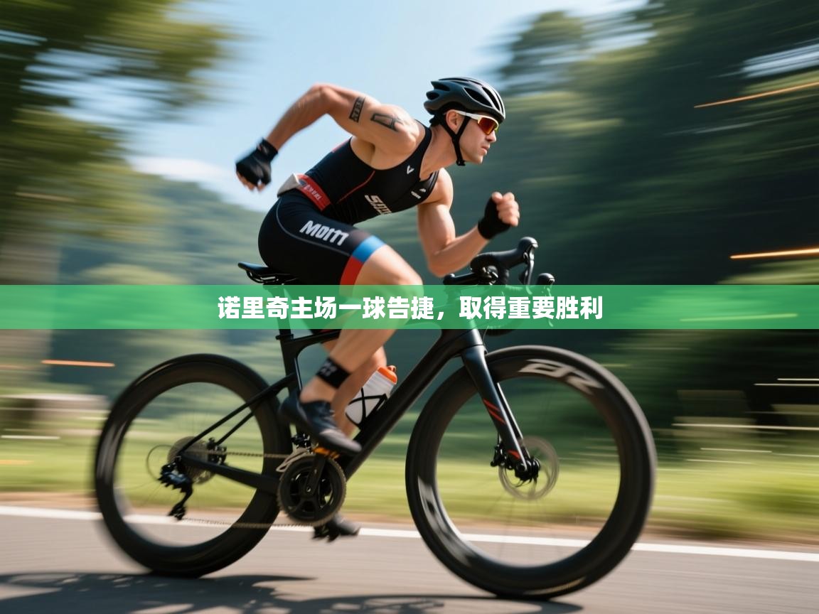 诺里奇主场一球告捷，取得重要胜利  第2张