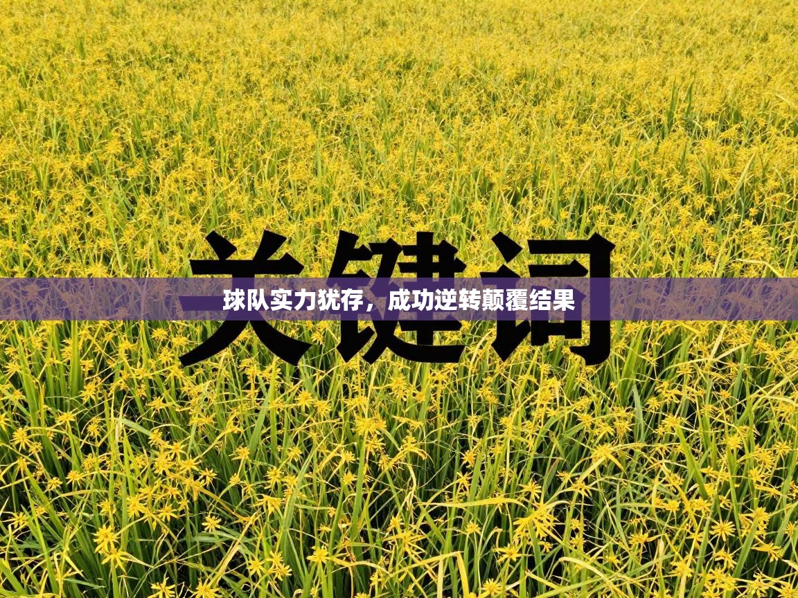 球队实力犹存,成功逆转颠覆结果 第2张